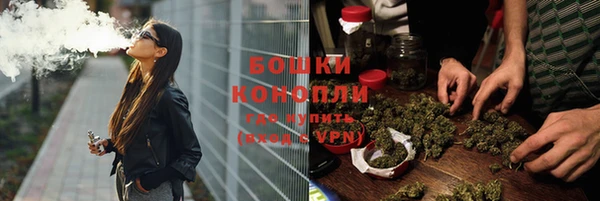 PSILOCYBIN Вязьма