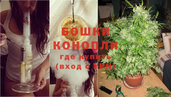 бошки Вяземский