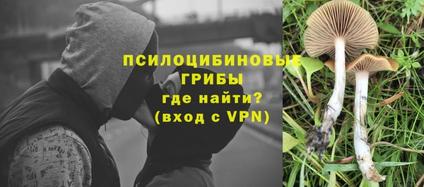 бошки Вяземский