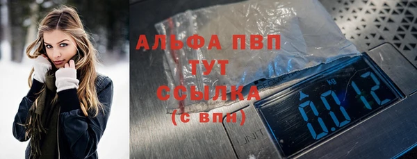 PSILOCYBIN Вязьма