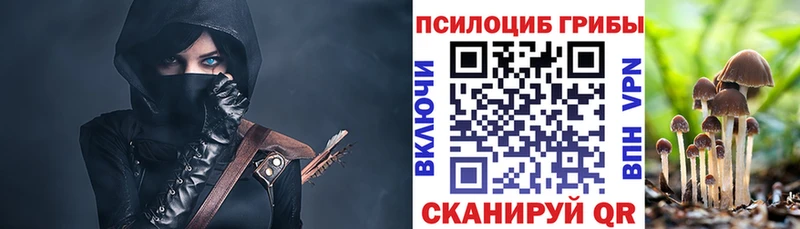 Псилоцибиновые грибы мицелий  кракен как войти  Изобильный  даркнет сайт 